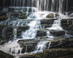 Pearson-Falls-7.2.22-0053