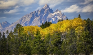 Grand-Tetons-9.24.20-1565