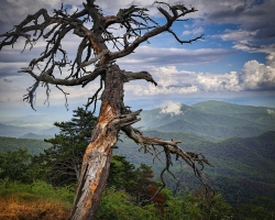Blue-Ridge-Mountains-7.3.22-0241-1