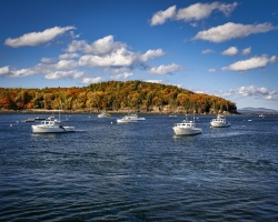Bar-Harbor-10.20.22-6559