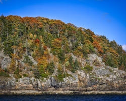 Bar-Harbor-10.20.22-6573