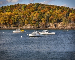 Bar-Harbor-10.20.22-6557