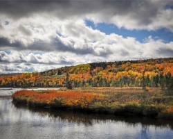 Cadot-Trail-10.16.22-6289