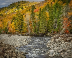 Cadot-Trail-10.17.22-6286