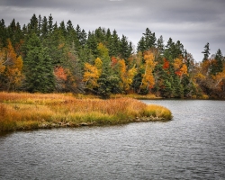 Fall-Foliage-10.16.22-6235