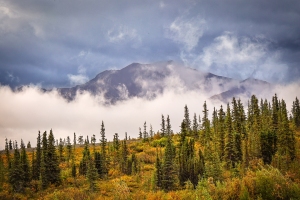 Alaska-Landscape-8.27.23-1329