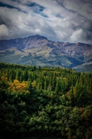 Alaska-Landscape-8.25.23-0494