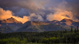Denali-8.26.23-0337