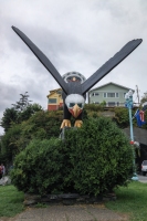 Ketchikan-9.1.23-0571