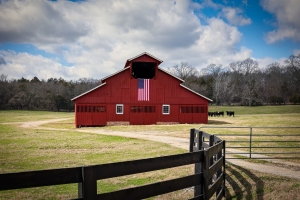 Barn-2.24.24-7810