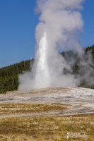 Old-Faithful