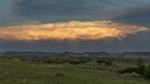Storm-6.19.25-8602