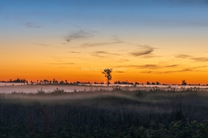 Sunrise-8.8.26-9706