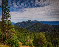 Hurricane-Ridge-8.15.21-5606