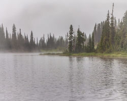 Mt-Rainier-Reflection-Lake-8.17.21-6020