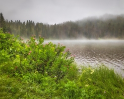Mt-Rainier-Reflection-Lake-8.17.21-6019