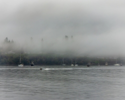 Port-Townsend-Fog-8.15.21-5550