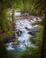 Glacier-National-Park-8.22.21-6247