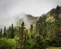 GNP-08.22.21-0142