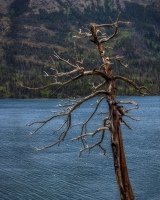 GNP-08.22.21-0159