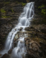 GNP-8.22.21-0141
