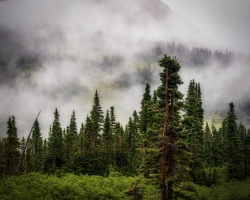 GNP-8.22.21-0143
