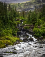 GNP-8.22.21-0151
