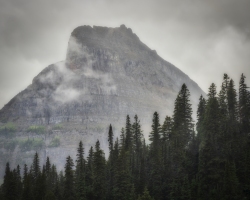 GNP-8.22.21-0153