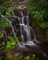 1_Mt-Rainier-Reflection-Lake-Falls-8.17.21-6024