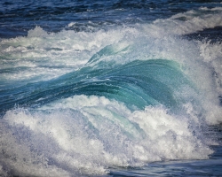 Wave-1.14.22-7426