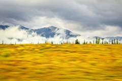 Alaska 
