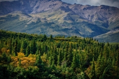 Alaska-Landscape-8.25.23-0494