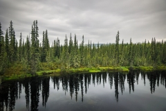 Alaska-landscape-8.25.23-A0339