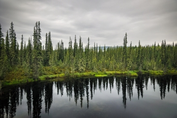 Alaska-landscape-8.25.23-A0339