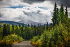 Denali-8.25.23-0783