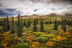 Denali-8.26.23-0267