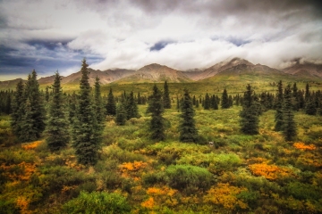 Denali-8.26.23-0267