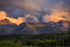 Denali-8.26.23-0337