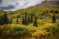 Denali-Landscape-8.26.23-0288