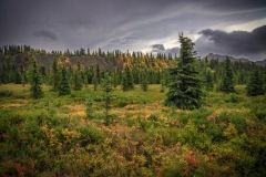 Denali-Landscape-8.26.23-0323