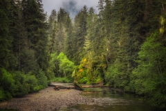 Hoonah-Scenery-8.30.23-0416