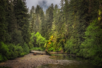 Hoonah-Scenery-8.30.23-0416