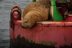 Juneau-8.31.23-2546