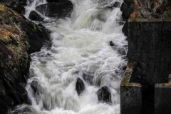 Ketchikan-Fish-Ladder-9.1.23-0583