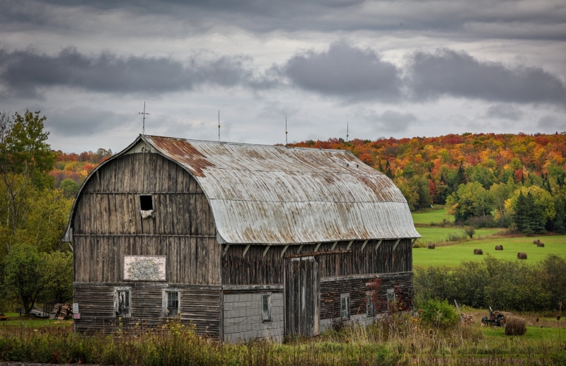 Barn-Fall-Foliage-9.30.23-3895