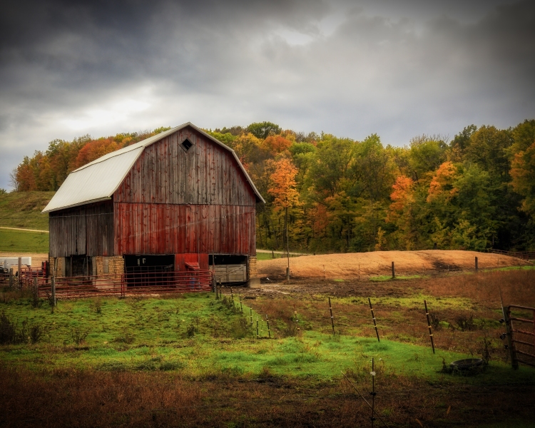 Fall-Barn-10.14.23-3281