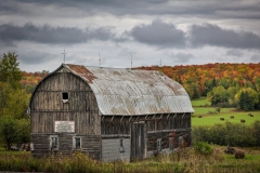 Barn-Fall-Foliage-9.30.23-3895