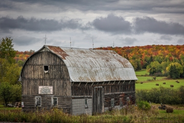 Barn-Fall-Foliage-9.30.23-3895