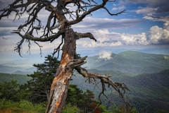Blue-Ridge-Mountains-7.3.22-0241-1