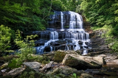Pearson-Falls-7.2.22-0049